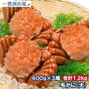 毛ガニ 毛蟹 浜茹で毛がに姿(平均400g前後×3尾 ボイル 冷凍 北海道産 最高級 堅蟹)｜toyosushijou