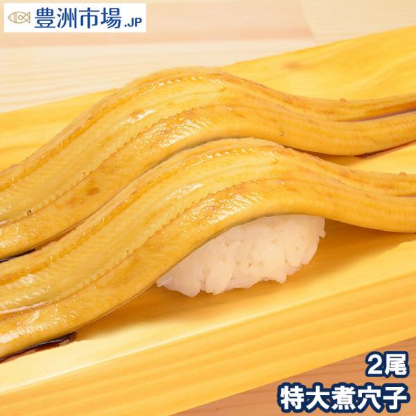 煮穴子 やわらか煮込み穴子 2尾 220g 煮あなご 煮アナゴ