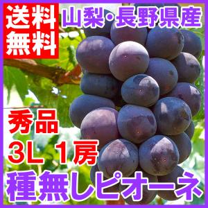 ピオーネ 1房 山梨県 長野県産 種なし ピオーネ 650g前後 3L サイズ 最高級特秀ランク （ぶどう ブドウ 葡萄）｜toyosushijou