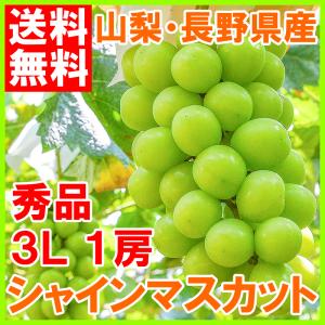 シャインマスカット 山梨県 長野県産 種なし シャインマスカット 1房 700g前後 3L 最高級特秀 （ぶどう ブドウ 葡萄）｜toyosushijou