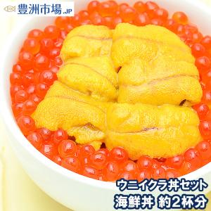 ウニイクラ丼セット うに 100g いくら 100g 生ウニ 生うに 冷凍 無添加 天然(ウニ うに 雲丹)｜toyosushijou