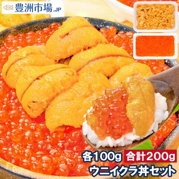 ウニイクラ丼セット うに 100g いくら 100g 生ウニ 生うに 冷凍 無添加 天然(ウニ うに...