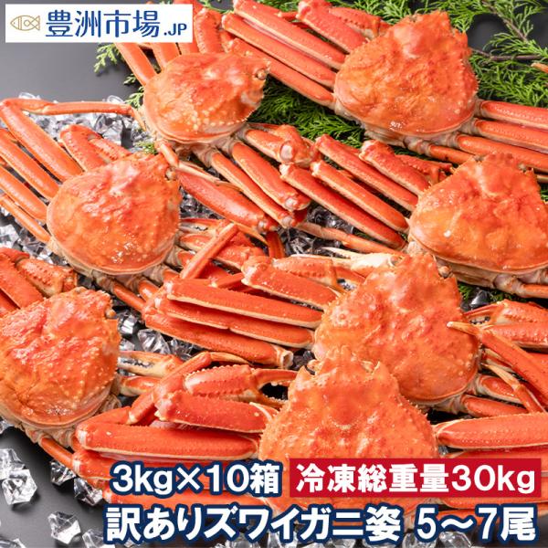訳あり ズワイガニ 姿 合計30kg前後 50〜70尾 3kg×10箱 冷凍ゆでがに 本ズワイガニ ...