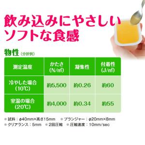 【軽減税率】 えん下(嚥下)困難者に適したフレ...の詳細画像3