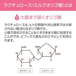 【軽減税率】 森永乳業 ミルクオリゴ糖 ラクチ...の詳細画像2