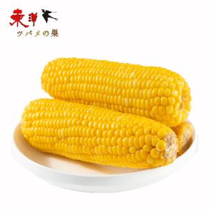 双葉黄糯玉米【10点】モチとうもろこし 軸付き糯...の商品画像