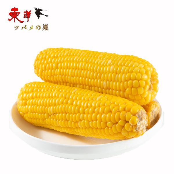 双葉黄糯玉米【40点】モチとうもろこし 軸付き糯玉米 1本x40点