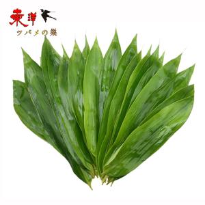 笹の葉 100枚入り スゲ付き（笹の葉×100枚・スゲ100g×1束）/丸大大滝