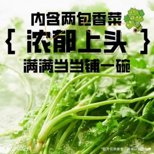 白象湯好喝香菜面5食入【1点】高湯面 速食泡面...の詳細画像2