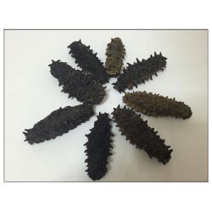 激安初回お試し限定 北海道産B級品 なまこ 100ｇ入り Lサイズ 11g以上 【訳あり品、キズあり、形崩】 【簡易包装】