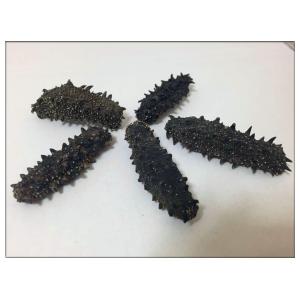北海道産B級品 乾燥なまこ なまこ ナマコ 500g入り Lサイズ 11g以上