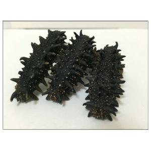 北海道産A級品 なまこ ナマコ 乾燥なまこ 500g入り Mサイズ 8〜11g