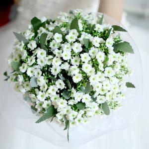 ウエディングブーケ かすみ草 ブートニア 安い 結婚式