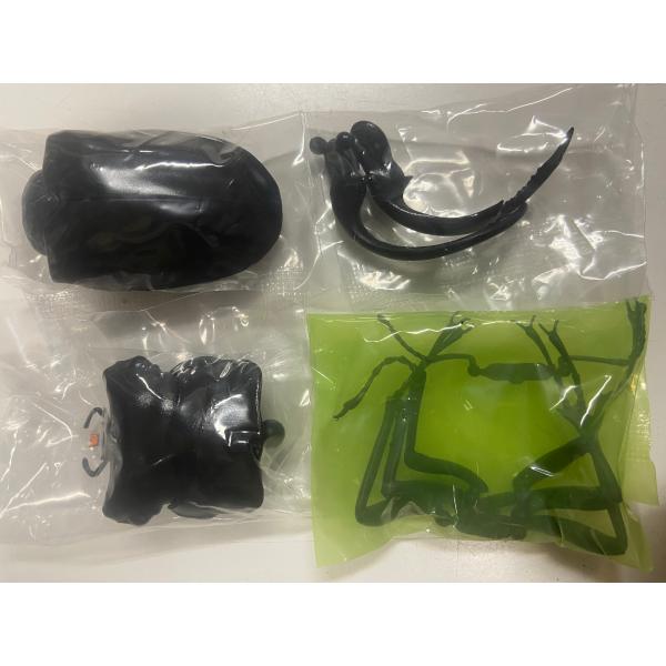 くわがた07ウエストウッディオオシカクワガタ いきもの大図鑑