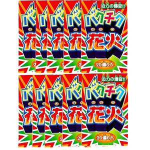 迫力の爆音！レジャー 鳥よけ 鳥獣退散　動物対策　害獣対策