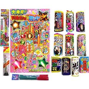 お庭で花火セットD 小さなお子様も安心！西と東の線香花火、点火用線香付！手持ち花火＆噴出花火