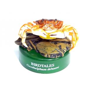 サワガニの商品一覧 通販 Yahoo ショッピング