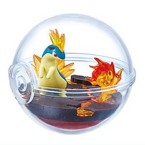 ポケットモンスター ポケモン テラリウムコレクション13 [4.マグマラシ]【 ネコポス不可 】(RM)｜toysanta