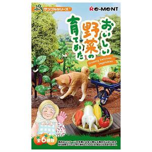 全部揃ってます!!】MOOMIN Terrarium ムーミン テラリウム ムーミン谷
