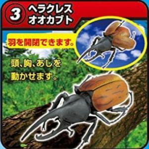 昆虫の森 カブトVSクワガタ 最強バトル ［3.ヘラクレスオオカブト］【 ネコポス不可 】