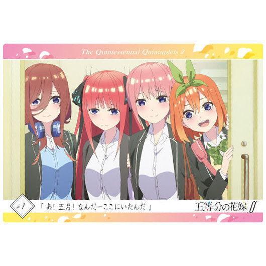 五等分の花嫁∬ ウエハース [12.ストーリーカード1：「あ！五月！なんだーここにいたんだ」]【ネコ...