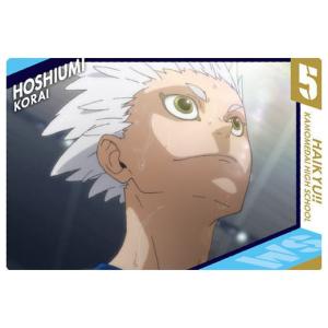 ハイキュー!! ウエハース2 [26.星海光来 ...の商品画像