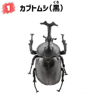 昆虫ハンター カブトムシ×クワガタ 2023 [1.カブトムシ(黒)]【 ネコポス不可 】｜toysanta