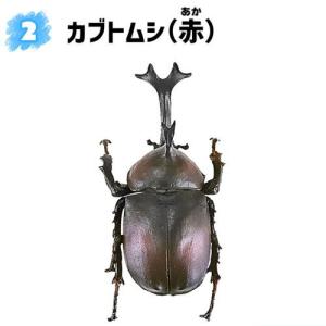 昆虫ハンター カブトムシ×クワガタ 2023 [2.カブトムシ(赤)]【 ネコポス不可 】｜toysanta