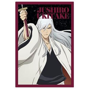 BLEACH ウエハース2 [27.浮竹十四郎 (ビジュアルカード)]【ネコポス配送対応】【C】｜toysanta