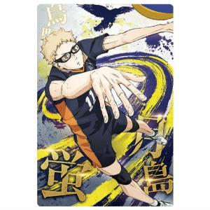劇場版ハイキュー!! ゴミ捨て場の決戦 ウエハー...の商品画像