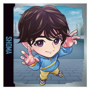 にふぉるめーしょん 仮面ライダーシリーズ シールウエハースvol.2 [23.ショウマ(ノーマル)]【ネコポス配送対応】【C】