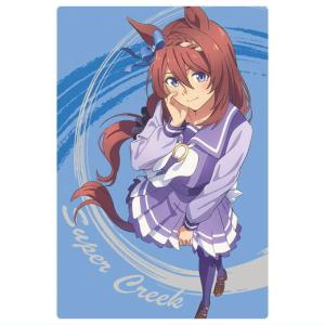 20 シンボリルドルフ(描き下ろし) (R レア) 】アニメ『ウマ娘