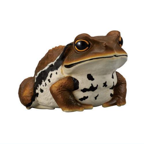 てのりフレンズ12 爬虫類・両生類 [2.ヒキガエル]【 ネコポス不可 】【C】