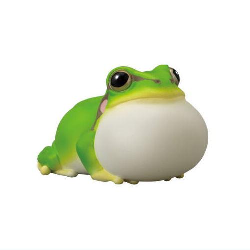 てのりフレンズ12 爬虫類・両生類 [12.アマガエル]【 ネコポス不可 】【C】