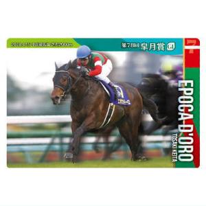 2026年2月】サラブレッドコレクションのおすすめ人気ランキング