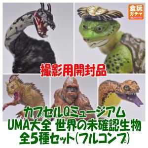 ■【開封品】_【全部揃ってます!!】カプセルQミュージアム UMA大全 世界の未確認生物 ［全5種セット(開封品・フルコンプ)］【 ネコポス不可 】(19654)｜toysanta