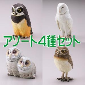 カプセルQミュージアム 福をよぶ フクロウ大全2［アソート4種セット(1.アナホリフクロウ(幼鳥)/3.メガネフクロウ/4.メンフクロウ(白化)/5.フクロウ(ヒナ))］｜toysanta