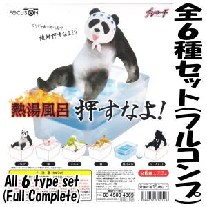 【全部揃ってます!!】FOCUS ON 熱湯風呂 押すなよ!  ［全6種セット(フルコンプ)］【 ネコポス不可 】 [170420sa]｜toysanta