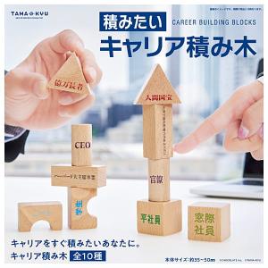 【全部揃ってます!!】TAMA-KYU 積みたいキャリア積み木 [全10種セット(フルコンプ)]【 ネコポス不可 】【C】｜toysanta