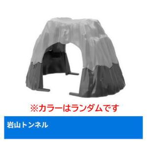 カプセルプラレール きかんしゃトーマス 名コンビ？シドニーとパクストン編 [13.岩山トンネル (※カラーはランダムです)]【 ネコポス不可 】