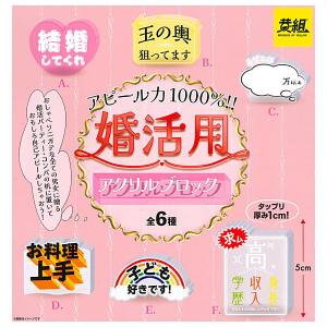 【全部揃ってます!!】婚活用アクリルブロック [全6種セット(フルコンプ)]【ネコポス配送対応】【C】｜toysanta