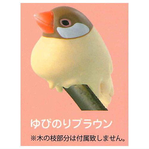 めーちっさい 個体を保てなくなった文鳥 [5.ゆびのりブラウン]【 ネコポス不可 】【C】