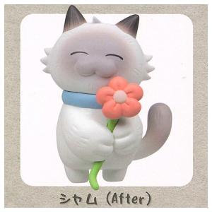 野良猫 Before and After マスコットフィギュア [4.シャム(After)]【 ネコポス不可 】【C】｜toysanta