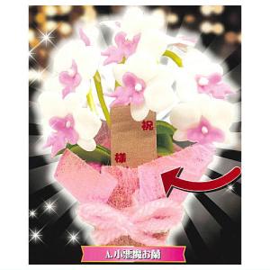 胡蝶蘭ミニチュアコレクション [1.小悪魔お蘭]【ネコポス配送対応】【C】｜toysanta