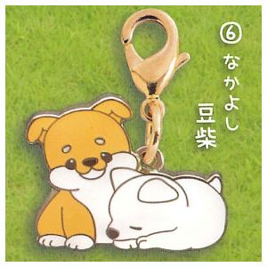 ずーっといっしょ 柴犬メタルチャーム [6.なかよし豆柴]【ネコポス配送対応】【C】｜toysanta