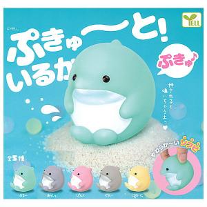 【全部揃ってます!!】ぷきゅ〜と！ いるか [全5種セット(フルコンプ)]【 ネコポス不可 】【C】｜toysanta