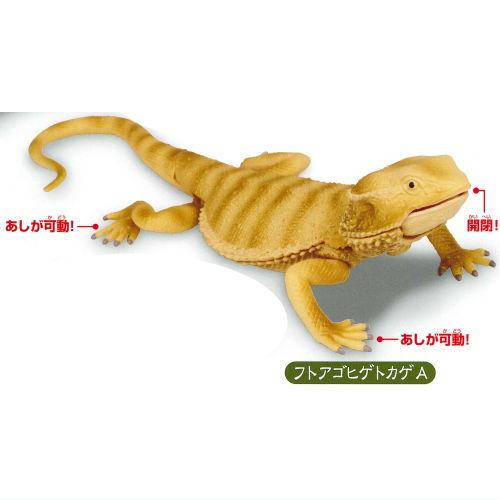 あそべる生物フィギュアシリーズ トカゲキングダムII [3.フトアゴヒゲトカゲ A]【ネコポス配送対...