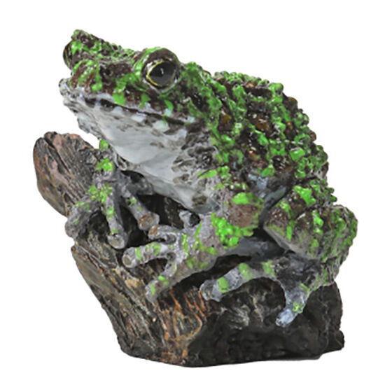 いきもの大図鑑ミニコレクション 両生類01 [5.オキナワイシカワガエル]【 ネコポス不可 】【C】