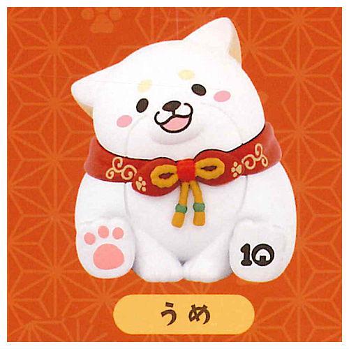 忠犬もちしば 10周年フィギュア [4.うめ]【 ネコポス不可 】【C】