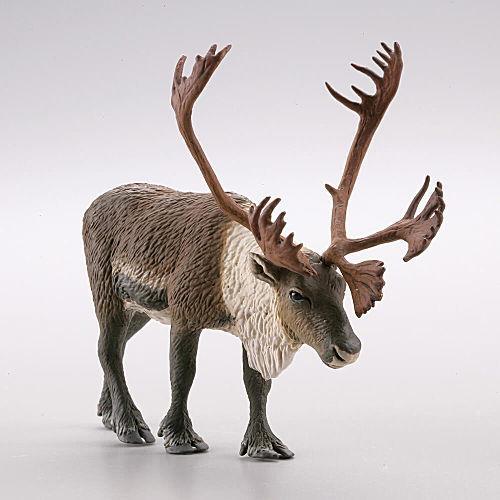 カプセルQ WILD RUSH 真・世界動物誌III 極地・北極圏編 [1.トナカイ]【ネコポス配送...